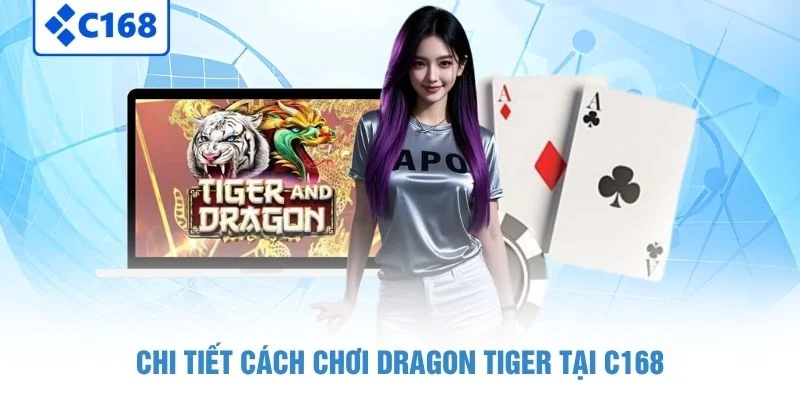 Dragon Tiger - Đặt Cửa Nhanh, Trải Nghiệm Kịch Tính 2 Chi tiết cách chơi Dragon Tiger tại C168